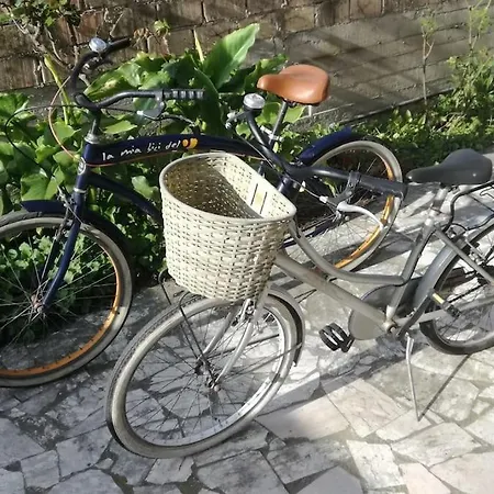 Appartamento Da Nonna Pina A Due Passi Dal Mare